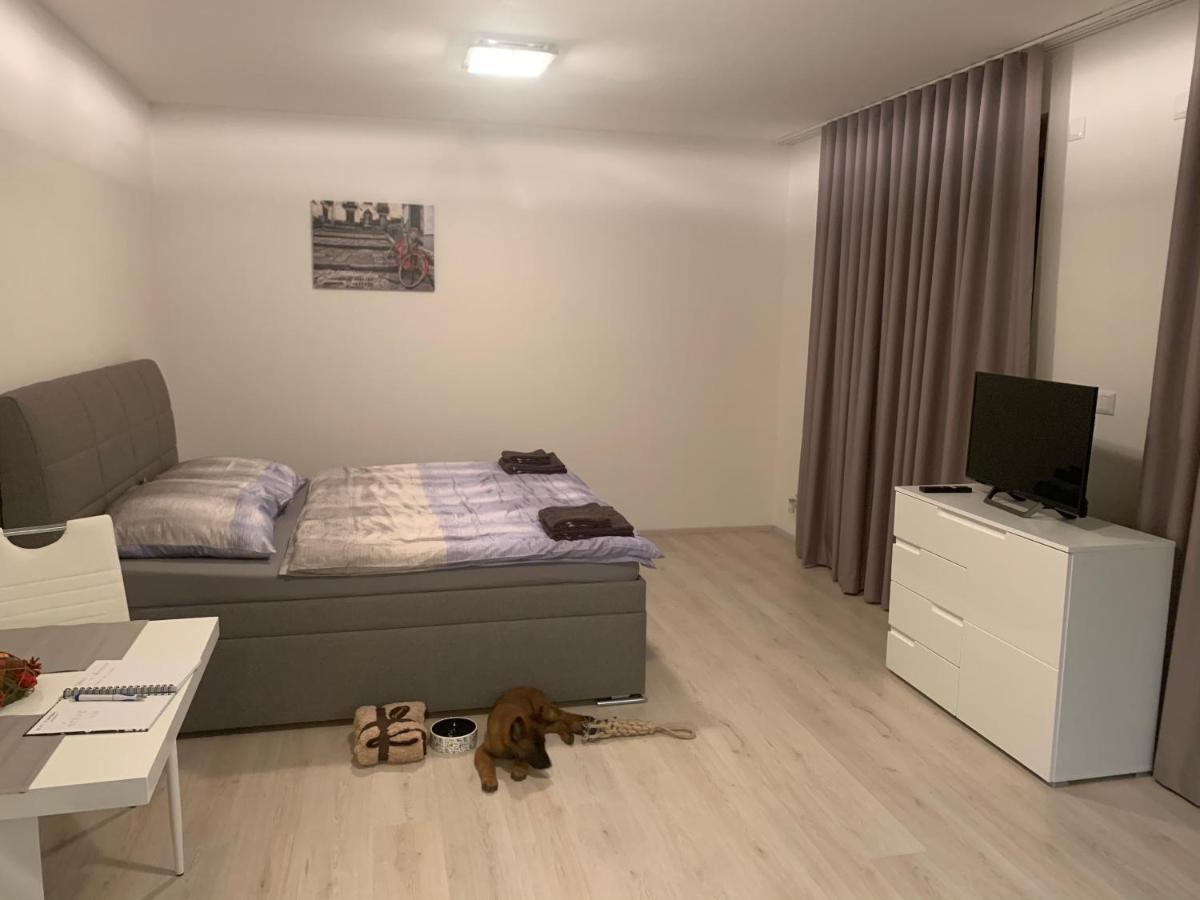 Modern Apartment In The City Center 플젠 외부 사진